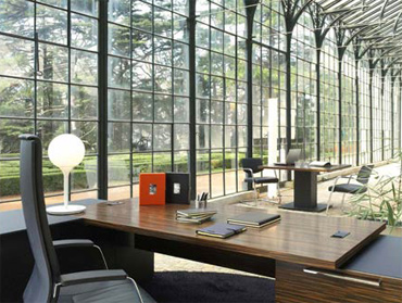 Sinetica, Solo Office Interiors