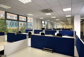 IBS. Solo Office Interiors.